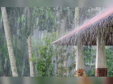 Imagem ilustrativa da imagem Pelo 2º dia consecutivo, cidades do ES registram maiores volumes de chuva do Brasil
