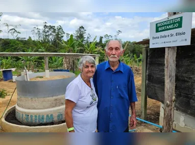 Vacas são colocadas em um espaço aberto e arejado, com ventiladores estrategicamente posicionados