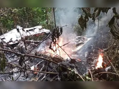 Imagem ilustrativa da imagem Quatro pessoas morrem após queda de avião na floresta amazônica colombiana