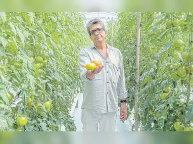 Thomaz Tommasi, cientista político e presidente da Assevila