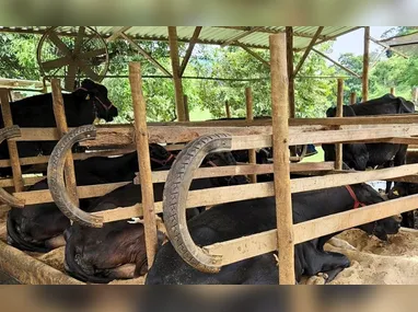 Portos batem recorde de movimento de cargas em um mês