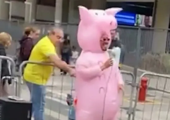 Imagem ilustrativa da imagem Homem golpeia 'porquinho da Paulista' com garfo durante manifestação
