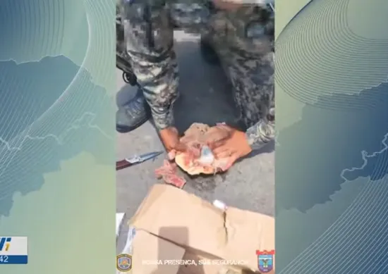 Imagem ilustrativa da imagem Inusitado: polícia encontra drogas escondidas em frangos congelados em Noronha