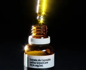 Imagem ilustrativa da imagem Anvisa aprova cultivo de cannabis por empresas e amplia acesso