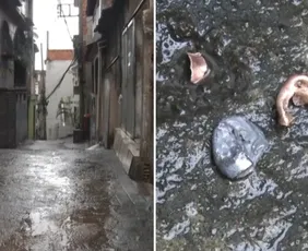 Imagem ilustrativa da imagem Dois suspeitos são presos por ataque que deixou quatro feridos no Morro do Quadro