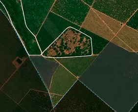 Imagem ilustrativa da imagem Pernambuco usa olhos de satélite para vigiar desmatamento