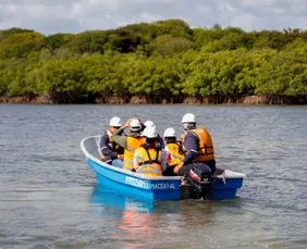 Imagem ilustrativa da imagem Suape descarta impacto ambiental e diz que CPRH não confirmou mortes de animais