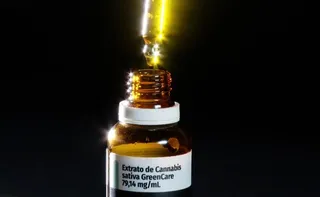 Imagem ilustrativa da imagem Anvisa aprova cultivo de cannabis por empresas e amplia acesso