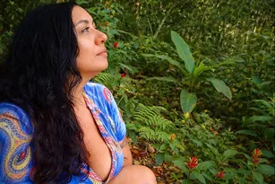 Imagem ilustrativa da imagem O recado da floresta para 2026: curar não é voltar, é abrir espaço