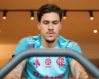 Imagem ilustrativa da imagem Pedro antecipa o retorno das férias e se apresenta