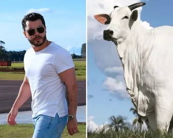 Imagem ilustrativa da imagem Vaca brasileira comprada por Murilo Huff se torna a mais cara do mundo