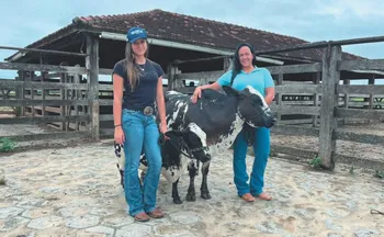 Imagem ilustrativa da imagem 14 mil sítios e fazendas do ES são comandados por mulheres