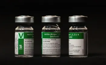 Imagem ilustrativa da imagem Aplicação da vacina da dengue do Butantan começará a partir do dia 17