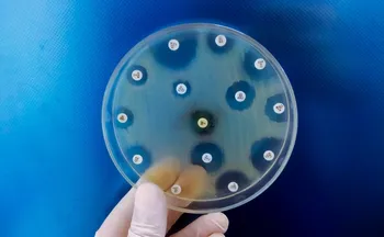 Imagem ilustrativa da imagem Após morte de menina, Praia Grande confirma 2º caso de meningite bacteriana