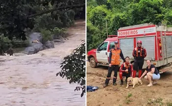 Imagem ilustrativa da imagem Cachorro é resgatado após cair em correnteza de rio na região Serrana do ES