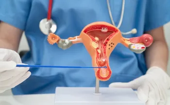 Imagem ilustrativa da imagem Câncer de vulva e vagina mata quase 600 mulheres em 2025