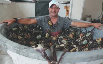 Imagem ilustrativa da imagem Comerciante capixaba faz "mergulho” em piscina de caranguejos