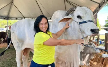 Imagem ilustrativa da imagem Criado em pastos do ES, gado "zero dentes" faz sucesso no exterior