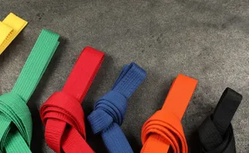 Imagem ilustrativa da imagem Exame estadual de faixa acontece neste domingo em Vitória