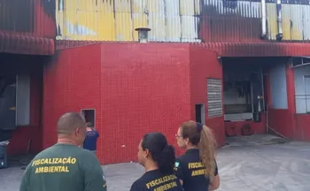 Imagem ilustrativa da imagem Frigorífico que pegou fogo é notificado por mau cheiro na Serra