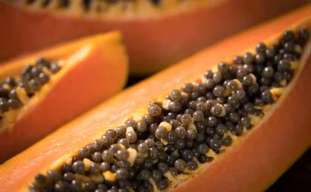 Imagem ilustrativa da imagem Frutas capixabas fazem sucesso até na “Terra dos Vikings”