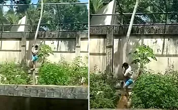 Imagem ilustrativa da imagem Jovem morto em zoo tinha transtornos mentais e queria cuidar de leões na África