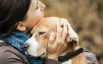 Imagem ilustrativa da imagem Luto por pets pode ser pior do que a perda de parentes