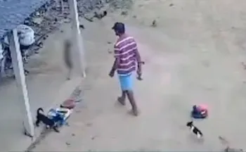 Imagem ilustrativa da imagem MPES denuncia homem acusado de matar cadela no Noroeste do ES