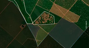 Imagem ilustrativa da imagem Pernambuco usa olhos de satélite para vigiar desmatamento