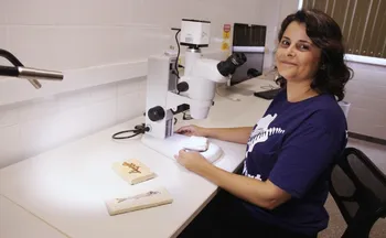 Imagem ilustrativa da imagem Pesquisa da Ufes busca desvendar o mistério dos fósseis