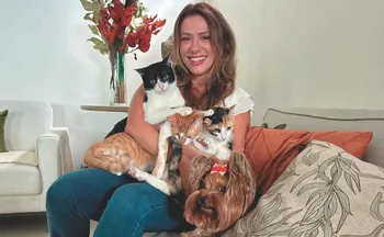 Imagem ilustrativa da imagem Pets mudam a rotina em mais de 1 milhão de lares no ES