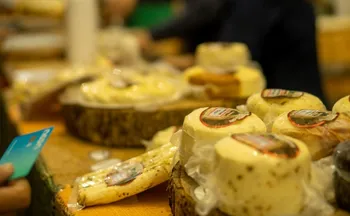 Imagem ilustrativa da imagem Rota dos Queijos é destaque em João Neiva, no Norte do ES