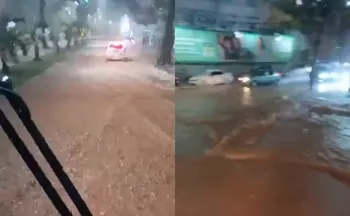 Imagem ilustrativa da imagem Tempestade provoca alagamentos, quedas de árvores e deixa bairros sem energia no ES