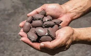 Imagem ilustrativa da imagem Vale busca parceiros para novo complexo industrial