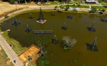 Imagem ilustrativa da imagem Vila de Natal em Cariacica terá deck sobre lago para fotos de árvores flutuantes