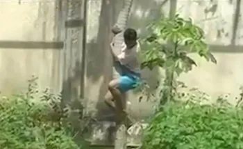 Imagem ilustrativa da imagem Zoológico em que leoa matou jovem vai reabrir com novas medidas de segurança