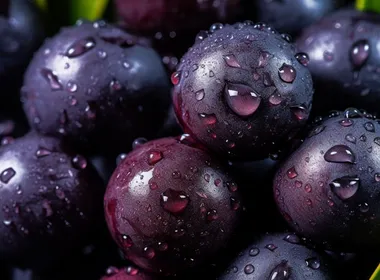 Imagem ilustrativa da imagem Conheça 15 ingredientes essenciais da cozinha paraense