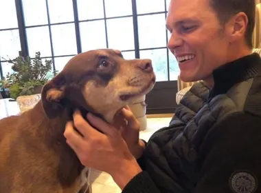 Imagem ilustrativa da imagem Tom Brady revela que clonou cachorra adotada com Gisele Bündchen