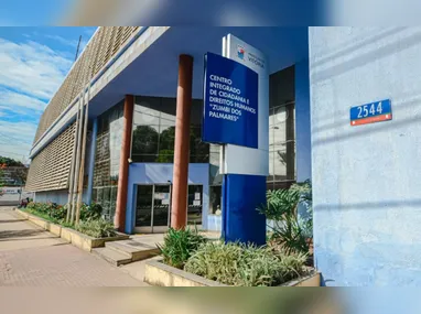 Raio mata 29 bois em fazenda no Noroeste do Espírito Santo