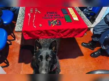 Durante as ações, os suspeitos retiraram componentes dos equipamentos, como colmeias de condensadores e cobre, comprometendo o sistema de climatização do local