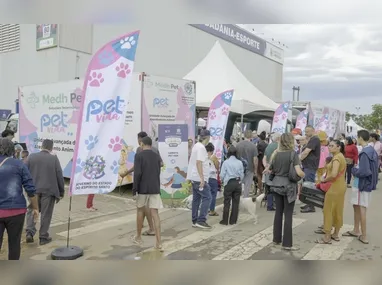 Filhote segue em observação, e a expectativa é que, após os cuidados necessários, possa voltar ao seu ambiente natural