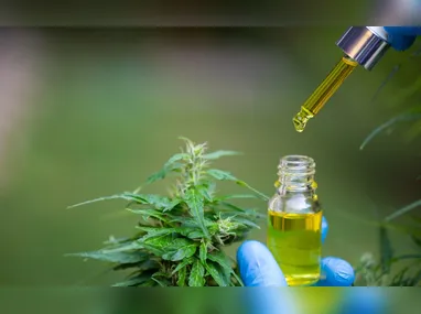 Presidente da República, Luiz Inácio Lula da Silva, durante visita e cerimônia de inauguração do Centro de Radioterapia do Hospital Nossa Senhora das Dores. Avenida João Soares Silva, Itabira (MG)