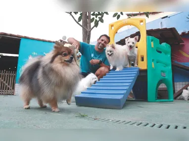 Bonecos vão enfeitar decoração