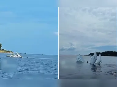 A vítima caminhou mais de 20 km sozinho na mata até encontrar local seguro