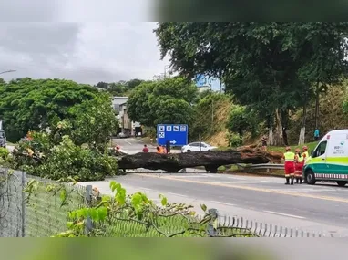 O carro ficou com os pneus para cima após o acidente