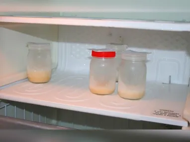 Camarão: pesca está proibida até o final de fevereiro