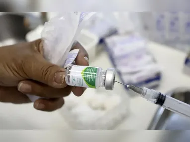 Imagem ilustrativa da imagem Brasil registra caso de gripe K, aponta Ministério da Saúde