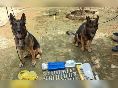 Cerco Inteligente Móvel é lançado para reforçar o combate ao crime