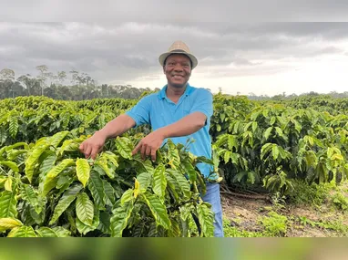 Alho: maior produtividade