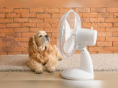 Renan Barros da Silva foi condenado por seis assassinatos